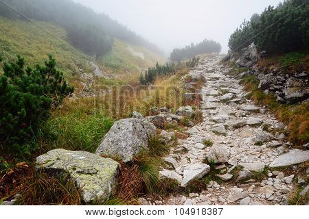 road to Tatra mountains