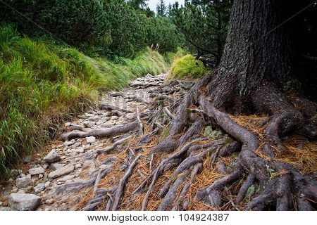 boulder road to High Tatra mountains