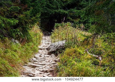 boulder road to High Tatra mountains