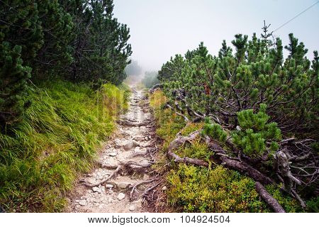 boulder road to High Tatra mountains