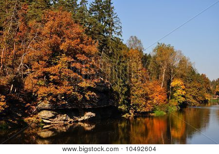 Alberi