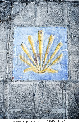 Santiago shell close up in Jaca, Huesca, Aragon, Spain.