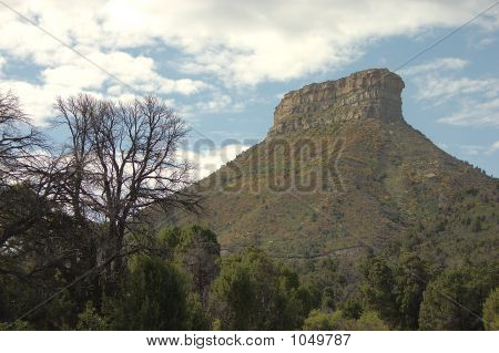 Mesa Verde