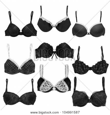 Push Up Bras