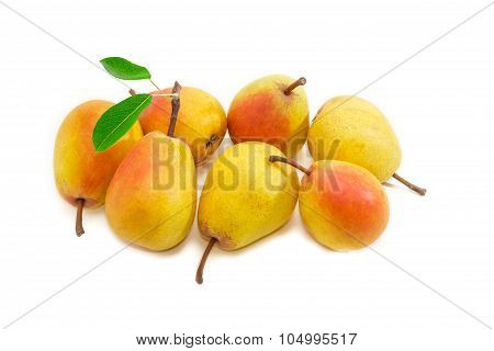 Several Duchess Pear On A Light Background