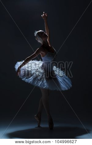 Portrait of the ballerina in ballet tatu on dack background