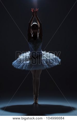 Portrait of the ballerina in ballet tatu on dack background