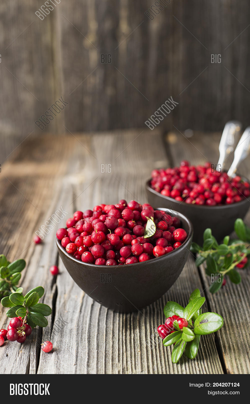 Fresh Ripe Forest Image & Photo (Free Trial) | Bigstock