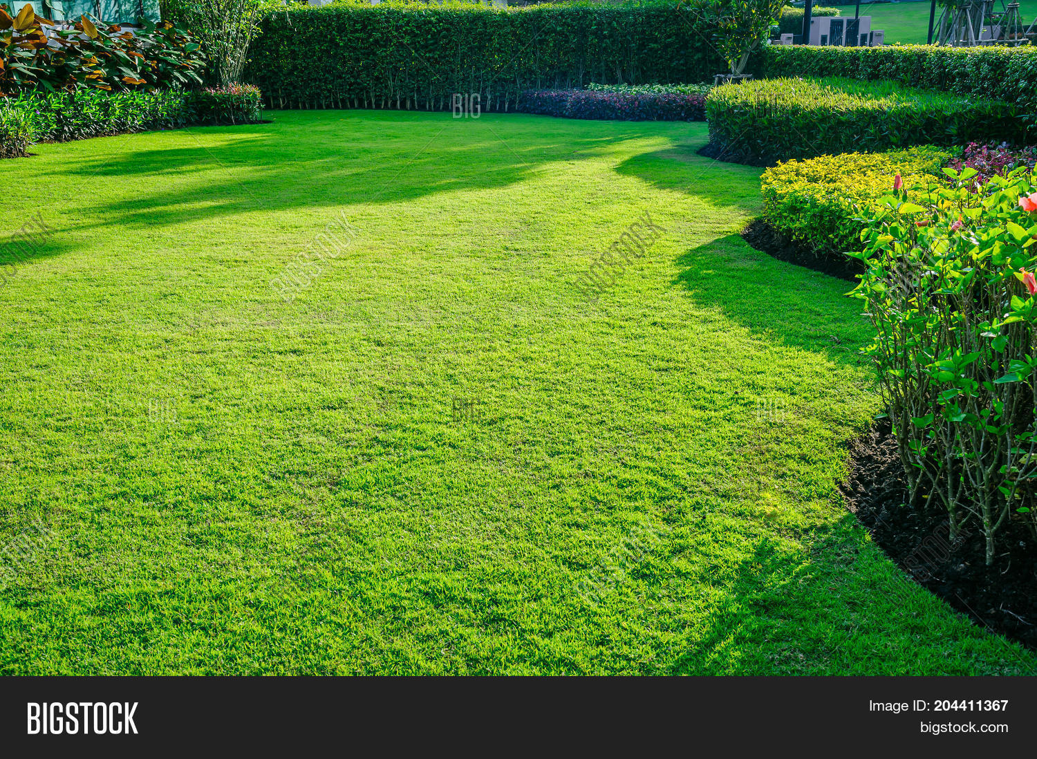 Green Lawn, Front Lawn Image & Photo (Free Trial) Bigstock