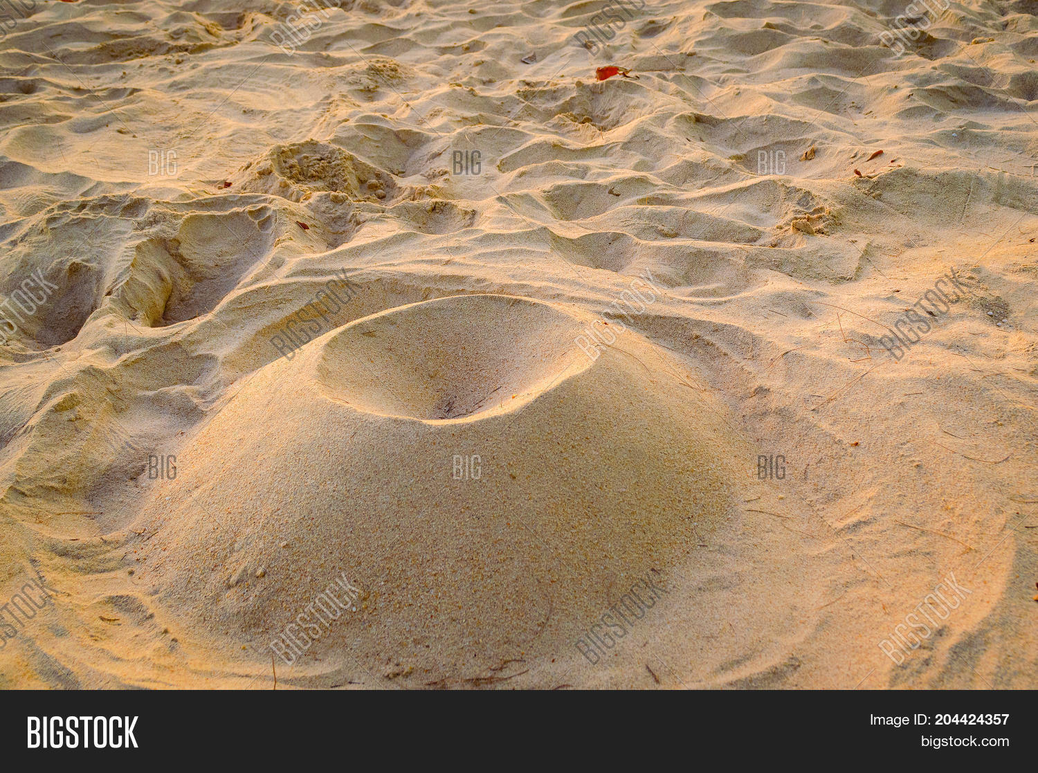 Fine Beach Sand Image Photo Free Trial Stock Fine Beach Sand Structure In The Summer Sun