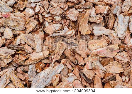 Background. Heap of fragments of pine bark with cone