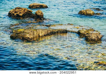 Sea Coast. Sea View. The Stony Coast Of The Adriatic Sea