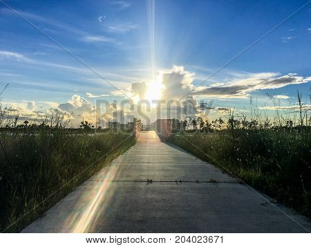 Beautiful And Peaceful Sunset In The Marshes Of A Swamp
