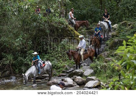 February 20 2017 Valle de Cocora Colombia: toruists riding horses in the jungle of the populr tourist destination