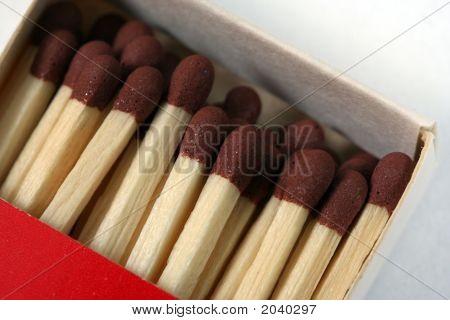 검색 상자