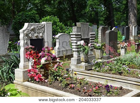 Tombstones in the Public cemtery in summer