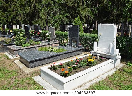 Tombstones in the Public cemtery in summer