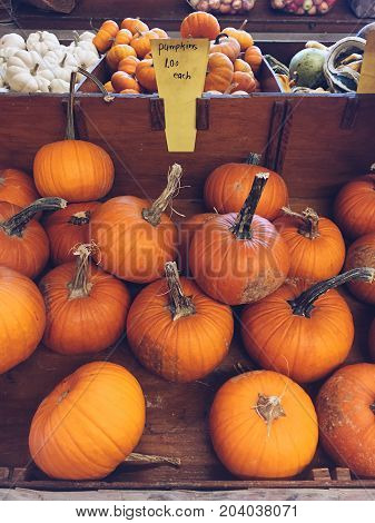 Pumpkins for sale at market. Processed with VSCO with a5 preset