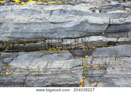 The texture of the north underwater rocks at low tide