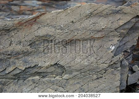 The texture of the north underwater rocks at low tide