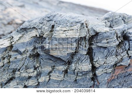 The texture of the north underwater rocks at low tide