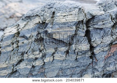 The texture of the north underwater rocks at low tide