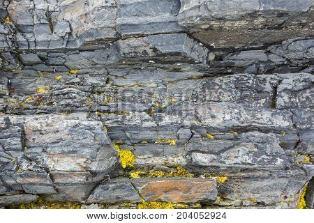 The texture of the north underwater rocks at low tide