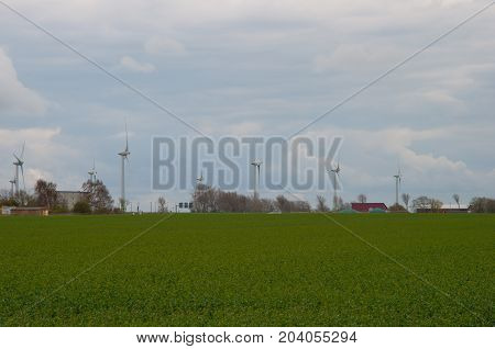 Windmills In Puttgarden Germany