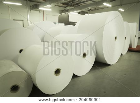 Large newsprint rolls storage at newspaper plant