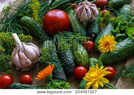 organic vegetables.a set of beet cucumbers dill garlic and tomato.