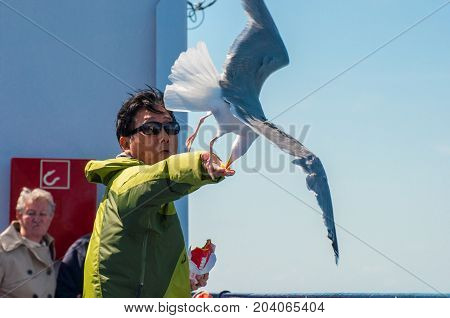 Fehmarn Belt Denmark/Germany - May 29. 2017: Man feeding a seagull on board a ferry