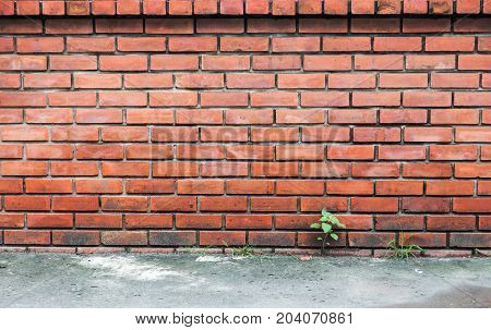Old Red Grunge Brickwork Background