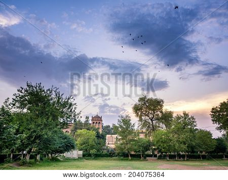 Flock of birds flying in blue sky above Islamia College Peshawar Pakistan