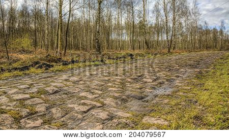 Image of the famous cobblestone road from the forest of Arenberg (Pave d'Arenberg). Every year it is part of the route of Paris Roubaix one of the most famous one day road cycling race. HDR image.