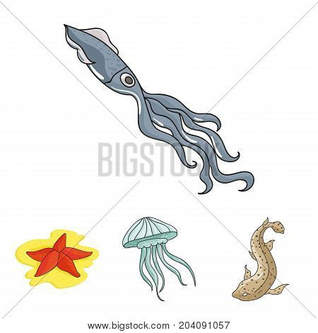 Jellyfish, squid and other species.Sea animals set collection icons in cartoon style vector symbol stock illustration .