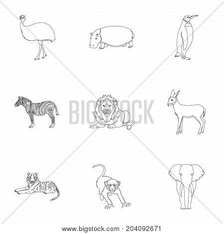 Ostrich emu, crocodile, giraffe, tiger, penguin and other wild animals. Artiodactyla, mammalian predators and animals set collection icons in outline style vector symbol stock illustration .