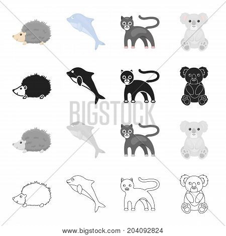 Wild animal panther, prickly hedgehog, clever dolphin, koala. Animals set collection icons in cartoon black monochrome outline style vector symbol stock illustration .