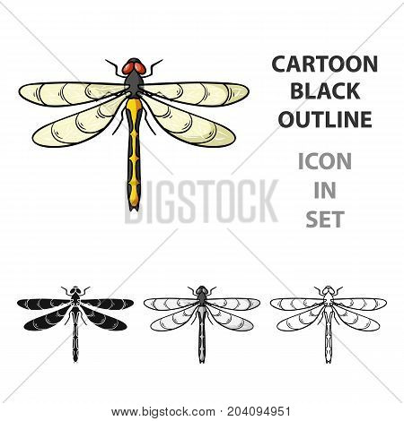 Dragonfly icon in cartoon design isolated on white background. Insects symbol stock vector illustration.