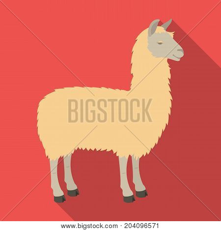 Lama, a South American pack animal. A lame, a cloven-hoofed mammal single icon in flat style vector symbol stock illustration .