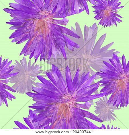 Aster Michaelmas daisy. Texture of flowers. Seamless pattern for continuous replicate. Floral background photo collage 