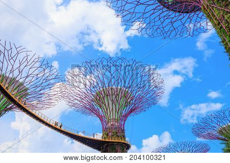 Unidentified Tourist Visited Skyway Of Gardens By The Bay At Singapore