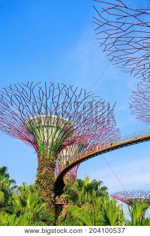 Unidentified Tourist Visited Skyway Of Gardens By The Bay At Singapore