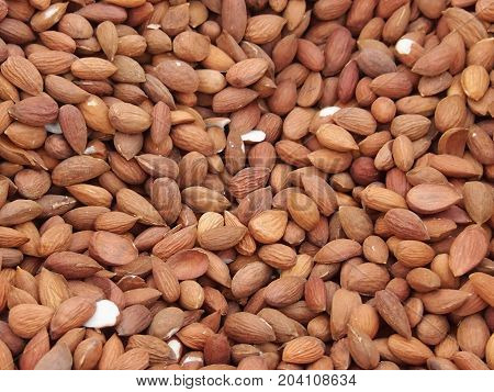 The edible kernels of an apricot peeled of stones