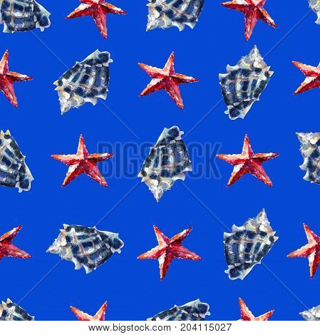 Watercolor seamless pattern with seashells and sea stars hand-drawn watercolor background.