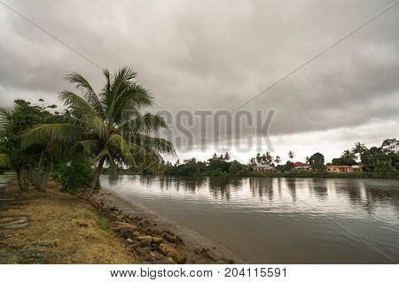 River bank with coconut tree against cloudy sky in Papar Borneo,Sabah,Malaysia.