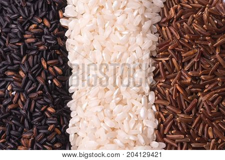 Flag Coloured Rice
