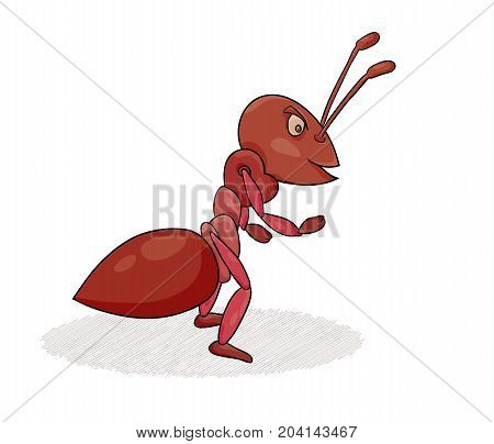 Redn Ant Isolated On White Background.