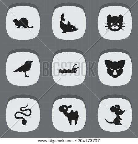 Set Of 9 Editable Zoo Icons. Includes Symbols Such As Wildlife Castor, Catbird, Serpent And More