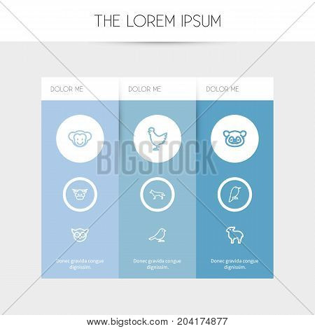 Set Of 9 Editable Zoo Outline Icons. Includes Symbols Such As Predator Bird, Philomel, Canine And More