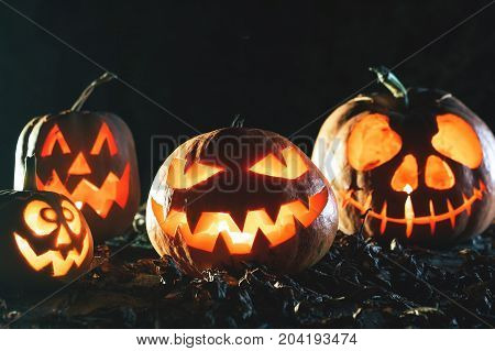 Halloween pumpkin at wood background. October holiday. Pumpkins family